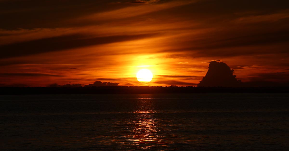 A uma semana do verão, tempo quente anima refrigeristas