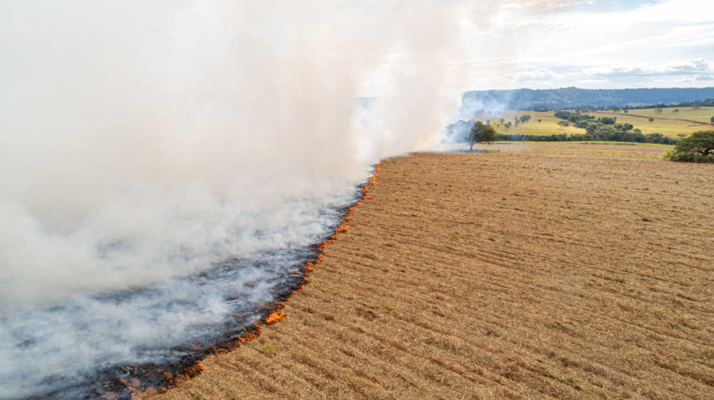 Fogo descontrolado em área agrícola no Pantanal | Foto: Shutterstock
