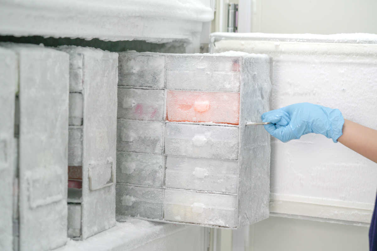 Sistema de refrigeração de temperatura ultrabaixa (ultracongelador) | Foto: Shutterstock