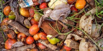 Alimentos desperdiçados no mercado de Lira, em Uganda| Foto: Sumy Sadurni/FAO