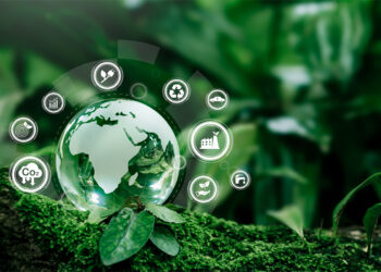 Meio Ambiente: O que não falta é lição de casa a fazer