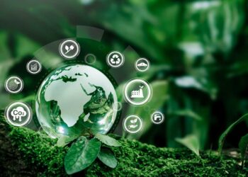 COP30 tem novo encontro preparatório do AVAC-R na próxima quinta