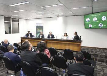 COP30: O que esperar do histórico evento de Belém do Pará?