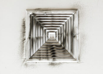 “Super Gripe” no Hemisfério Norte já preocupa especialistas em QAI no Brasil